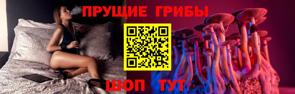 Псилоцибиновые грибы мицелий  Галлюциногенные грибы MAGIC MUSHROOMS  цена   Вход с VPN  Уссурийск 